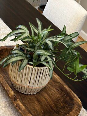 Faux Plant in Woven Basket Planter Neutral Farmhouse Decor Lined Pot